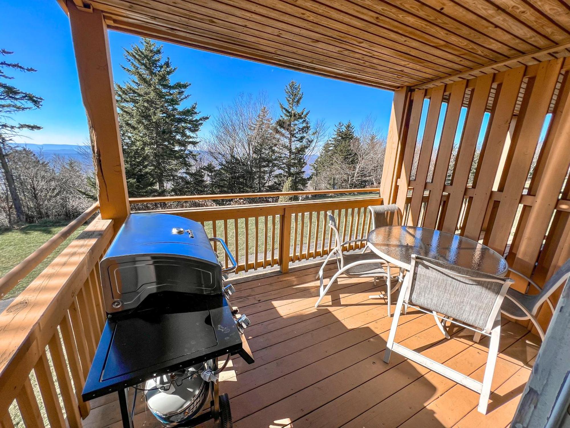 Remodeled Summit Condo At Snowshoe - Modern & Cozy Екстер'єр фото